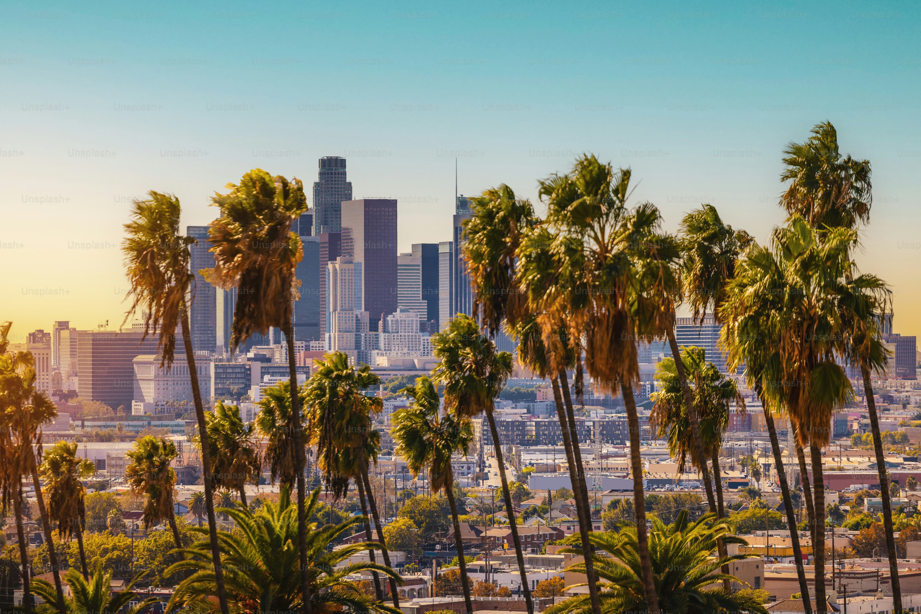 Downtown Los Angeles with palm trees